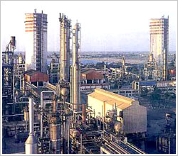 Fertilizer Plants